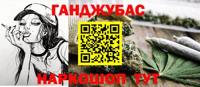PSILOCYBIN Можга