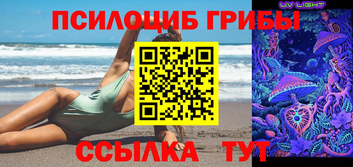 Галлюциногенные грибы GOLDEN TEACHER  Вход с VPN  Верхняя Пышма 